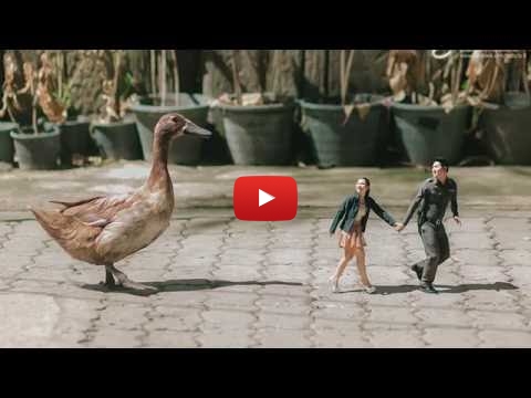 Embedded thumbnail for Wedding Photographer Turns Couples Into Miniature People