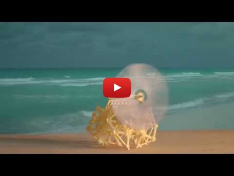 Embedded thumbnail for Art or Models? Beach Animals, The Strandbeest